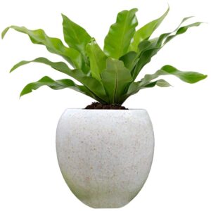 Pot Bunga Teraso Tipe Bulat