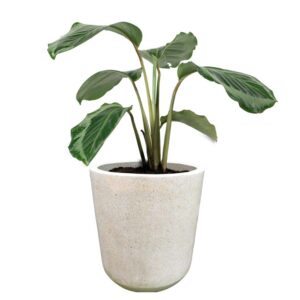 Pot Bunga Teraso Tipe Nusa Dua Polos