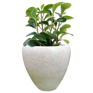 Pot Bunga Teraso Tipe Telur