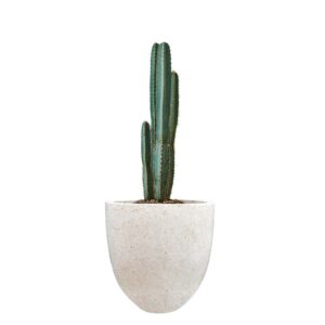 Pot Bunga Teraso Tipe Mini