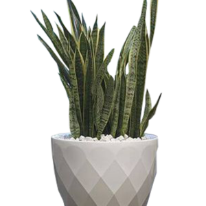 Pot Bunga Teraso Tipe Diamond Mini