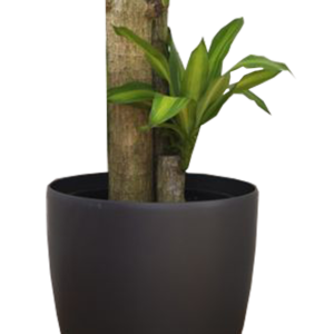 Pot Bunga Teraso Tipe Mini (Hitam Doff)