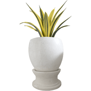 Pot Bunga Teraso Tipe Bakul Pion