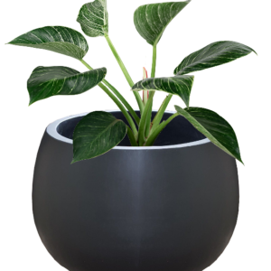 Pot Bunga Teraso Tipe Gendang (Hitam Doff)