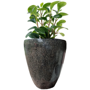 Pot Bunga Teraso Tipe Jogja (Hitam)