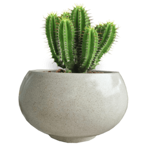 Pot Bunga Teraso Tipe Mangkuk