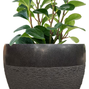 Pot Bunga Teraso Tipe Cacah (Hitam)