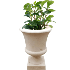 Pot Bunga Teraso Tipe Piala Klasik