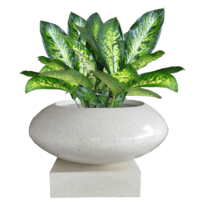 Pot Bunga Teraso Tipe Donat Mini