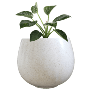 Pot Bunga Teraso Tipe Melon