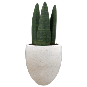 Pot Bunga Teraso Tipe Tampak Siring Mini